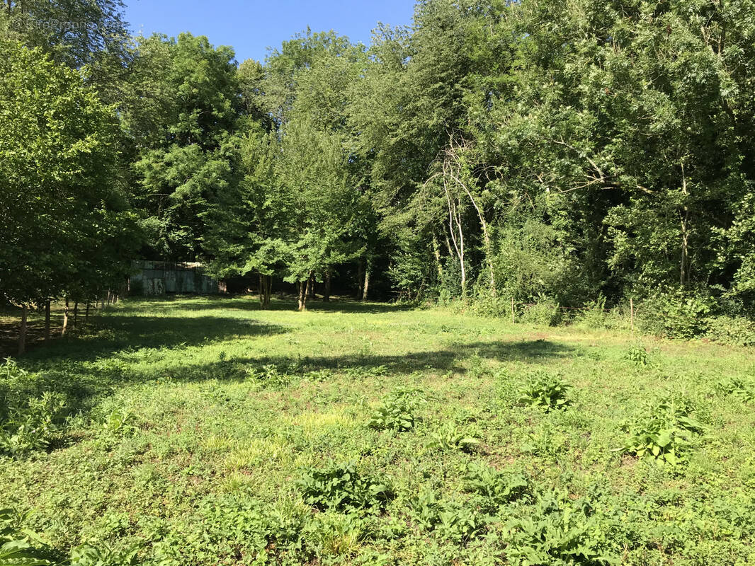 Terrain à VILLERS-COTTERETS