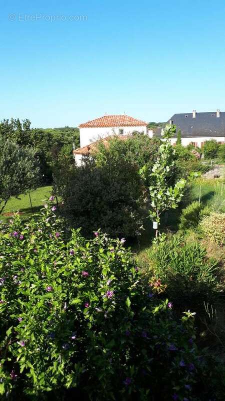 Photo 6 - Maison à LIMOGNE-EN-QUERCY