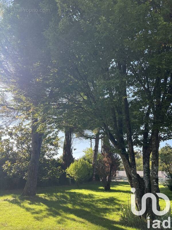 Photo 1 - Maison à CROIX-CHAPEAU