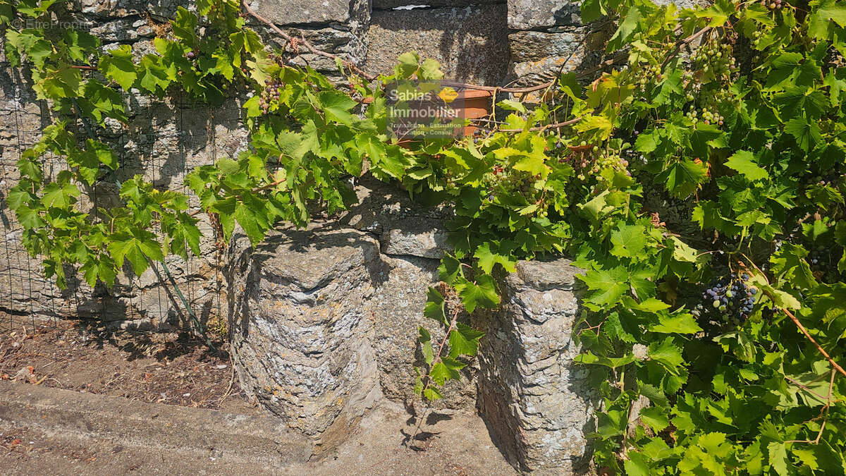 Village de saint sauveur - photo 8