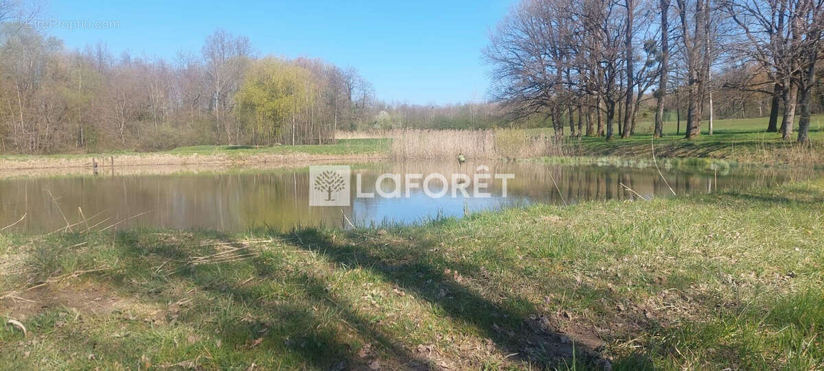 Terrain à GRANDVILLARS