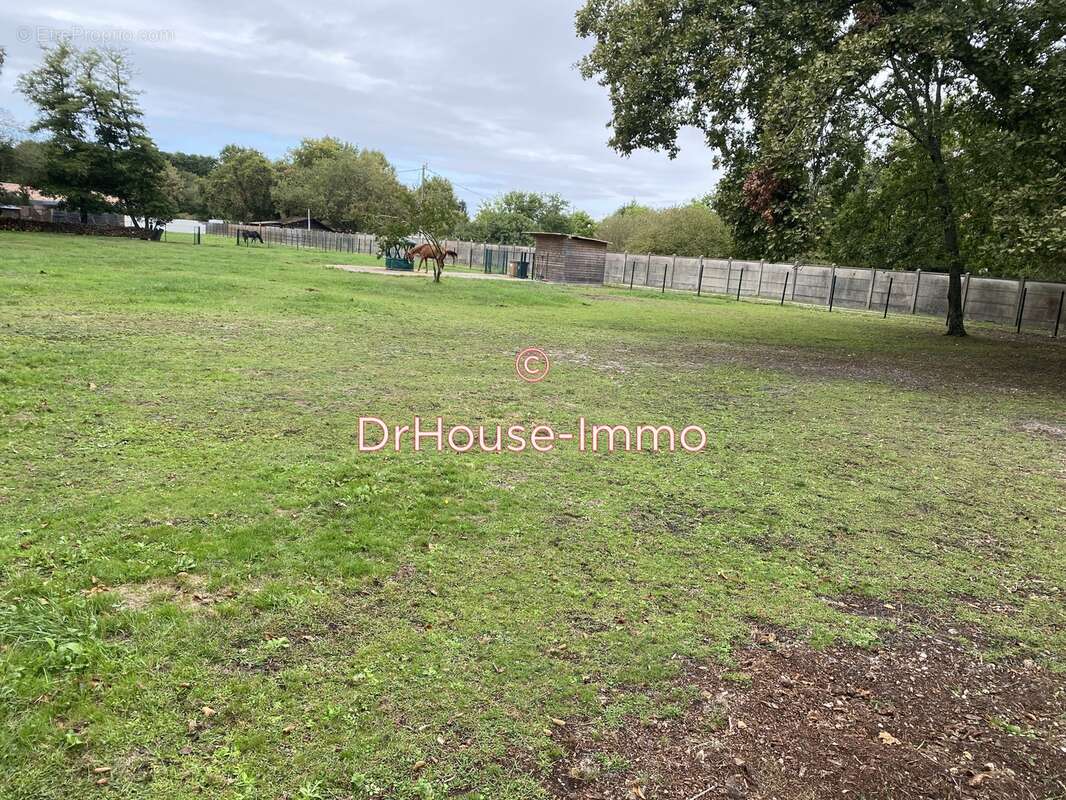 Terrain à LA TESTE-DE-BUCH