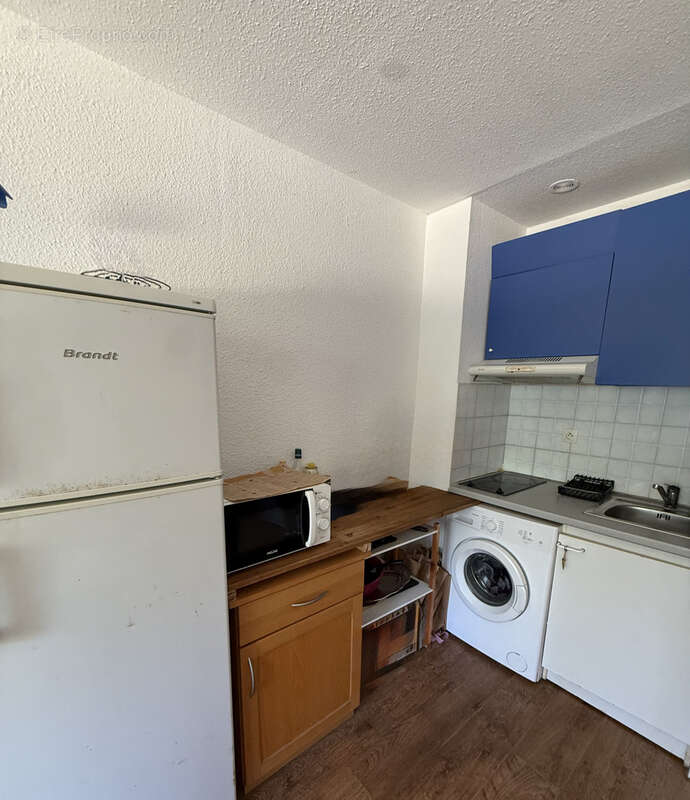 Studio pinede de  calvi - photo 6