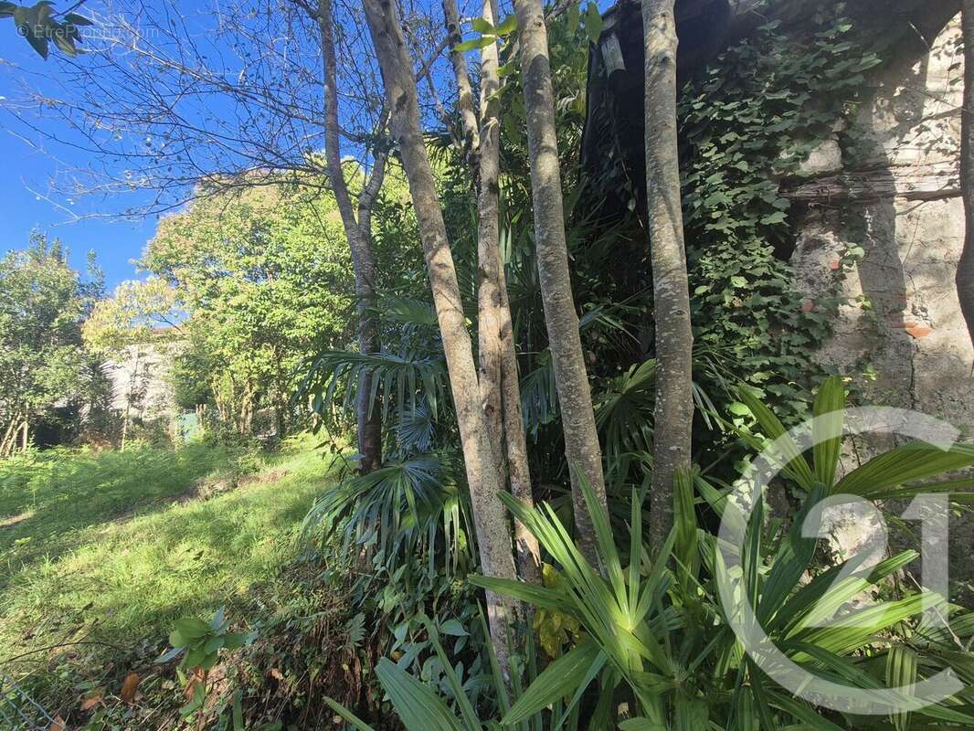 Autre à SAUVETERRE-DE-BEARN