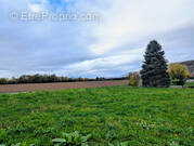 Terrain à BREGNIER-CORDON