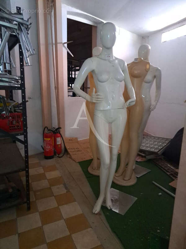 Commerce à FORT-DE-FRANCE