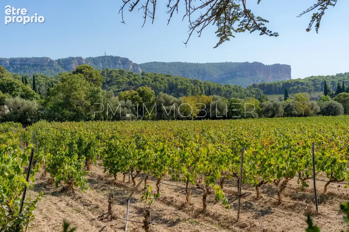 La bastide des cèdres - photo 7