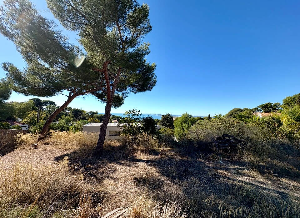 Terrain à SETE
