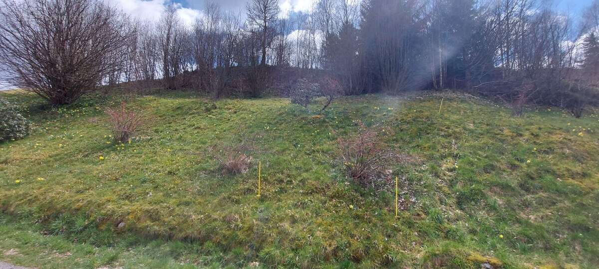 Terrain 1022 m² à Gerardmer  - photo 3