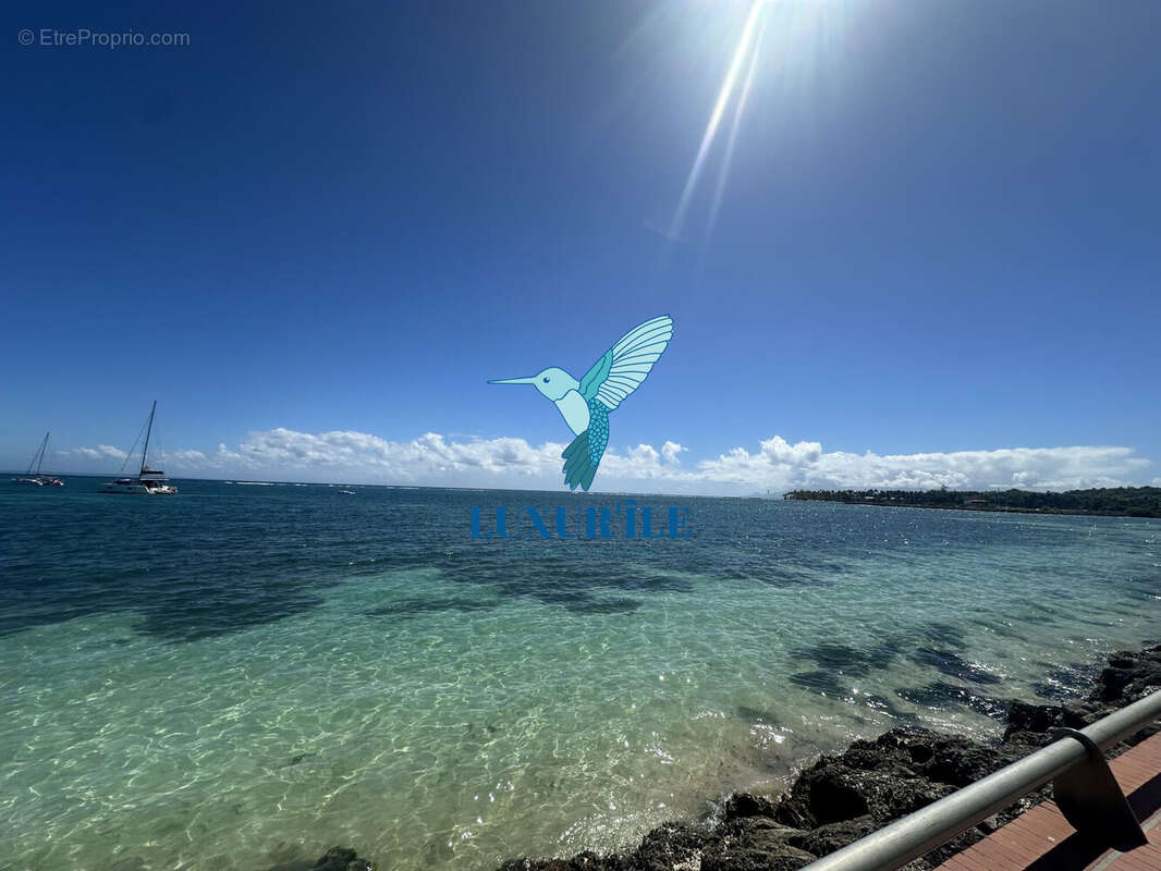 Appartement à SAINTE-ANNE