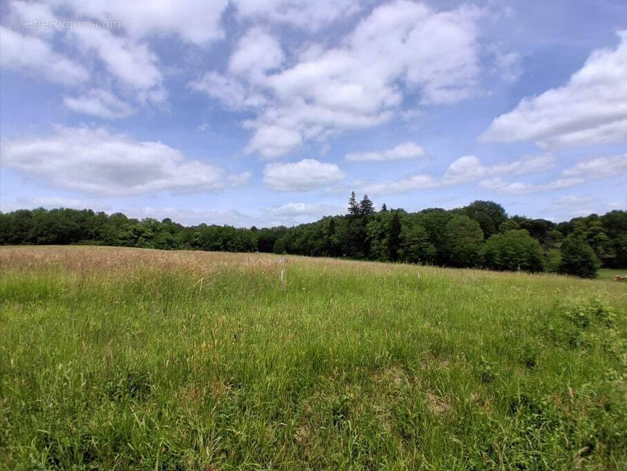 Terrain à DOUVILLE