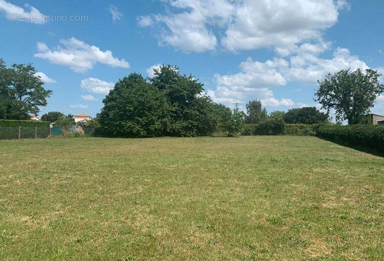 Terrain à AVAILLES-EN-CHATELLERAULT