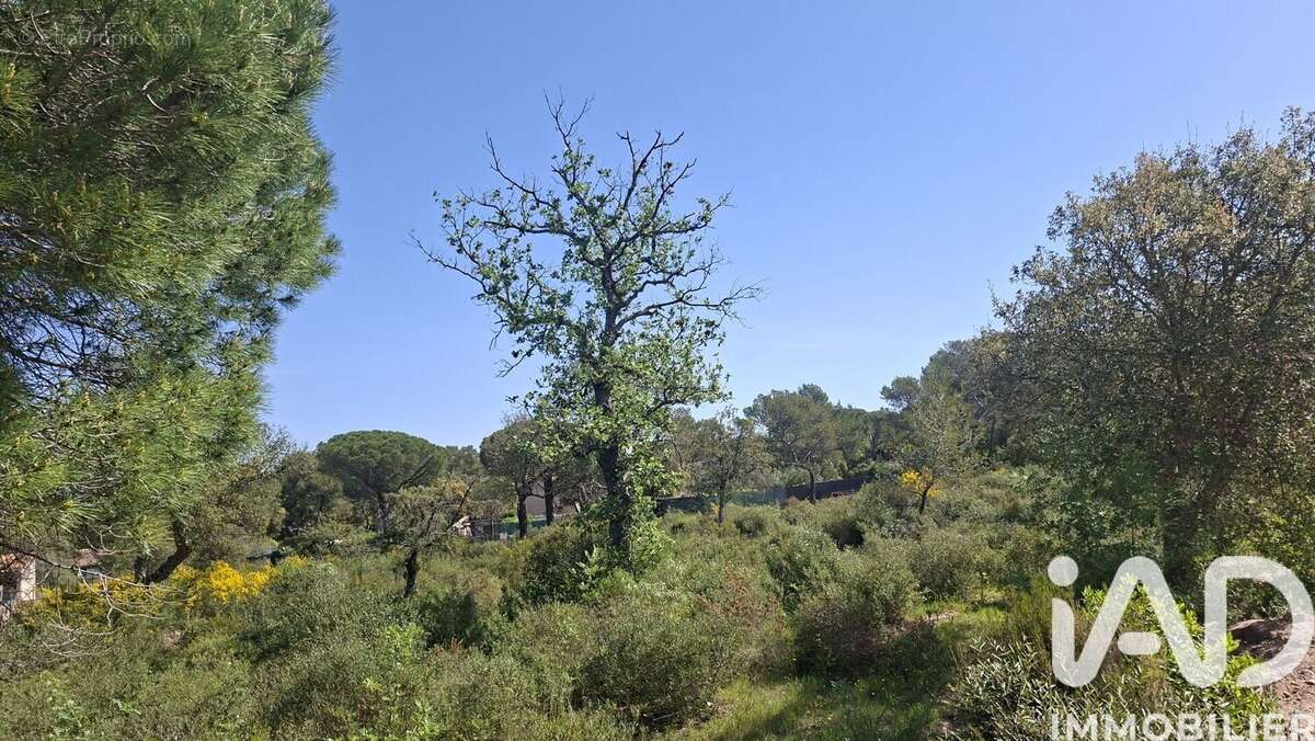 Photo 3 - Terrain à LE CANNET-DES-MAURES