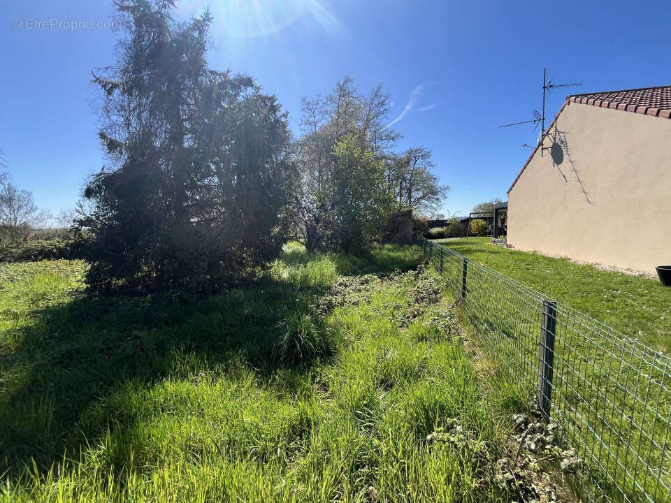 Terrain 604 m² à Cattenom  - photo 2