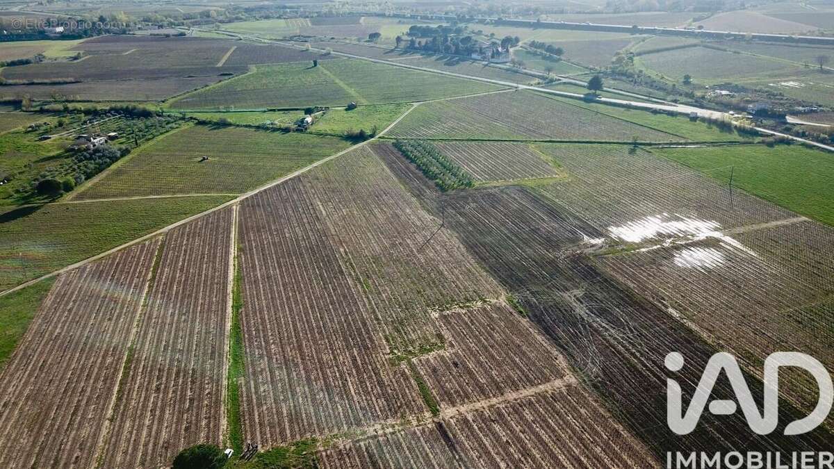 Terrain 238795 m² à Usclas-D'herault  - photo 8