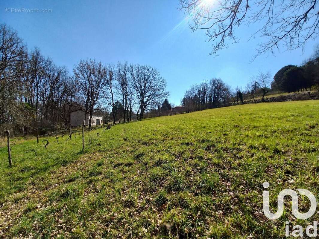 Photo 2 - Maison à SAINTE-COLOMBE-EN-BRUILHOIS