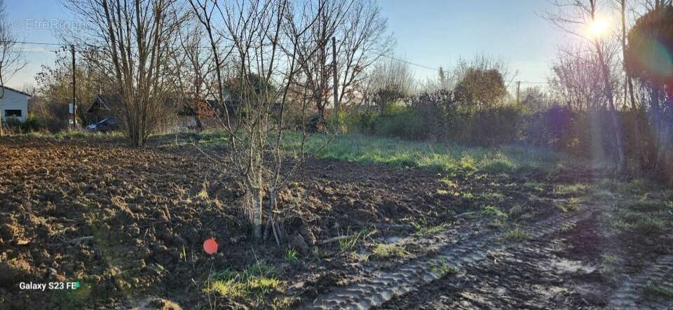 Terrain à MEZENS