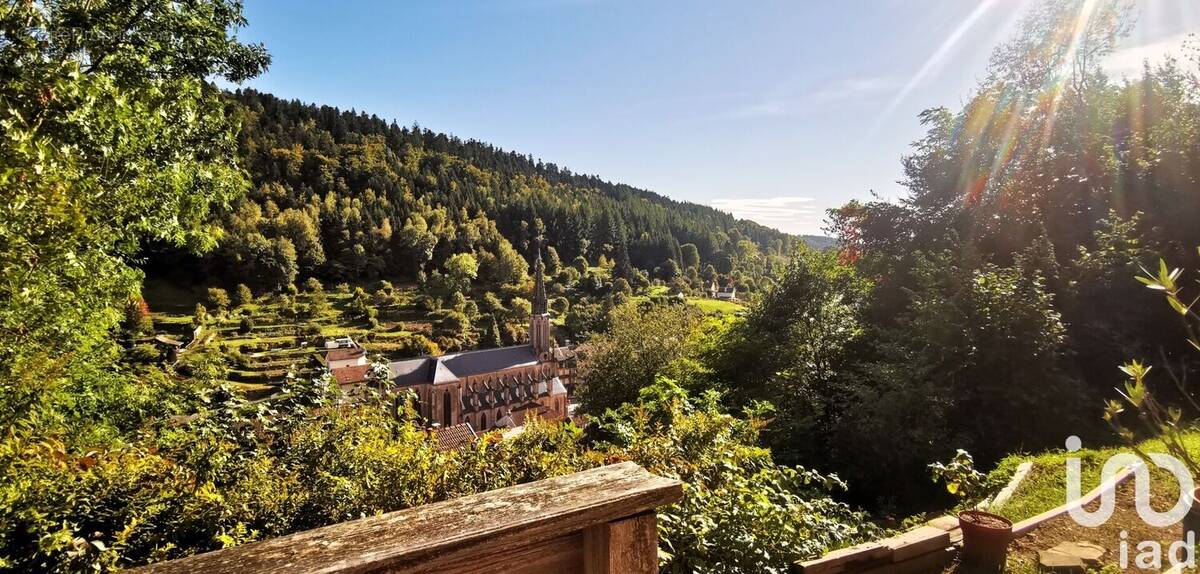 Photo 1 - Maison à PLOMBIERES-LES-BAINS