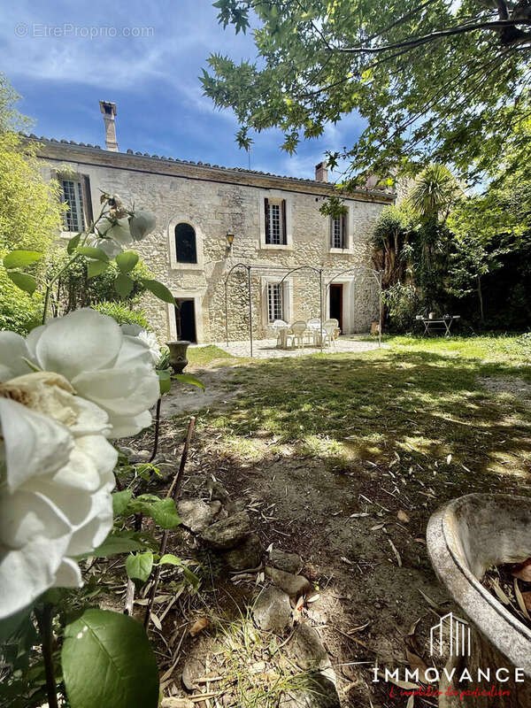 Maison à BAILLARGUES