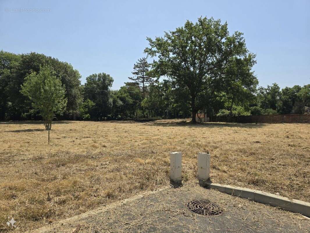 Terrain à TOURNEFEUILLE