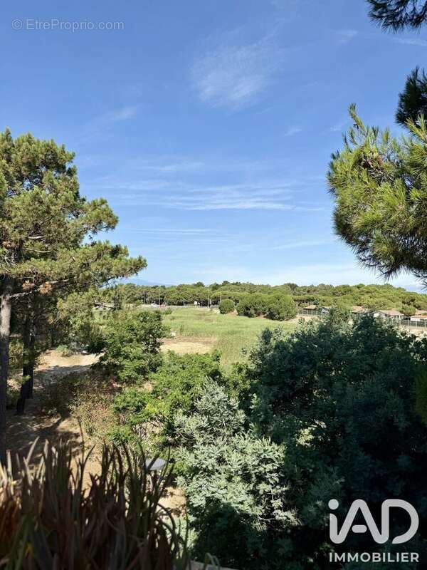 Photo 3 - Appartement à ARGELES-SUR-MER