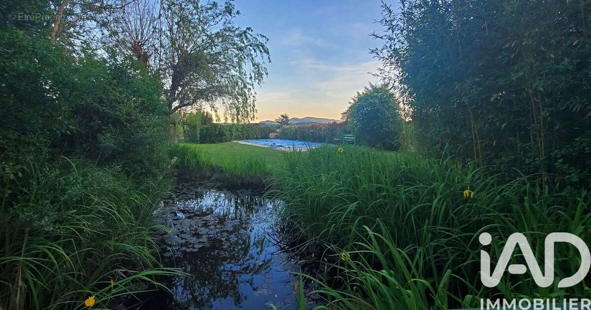 Photo 4 - Maison à SAINT-AMBROIX