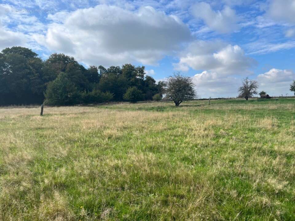 Terrain à BOISMONT