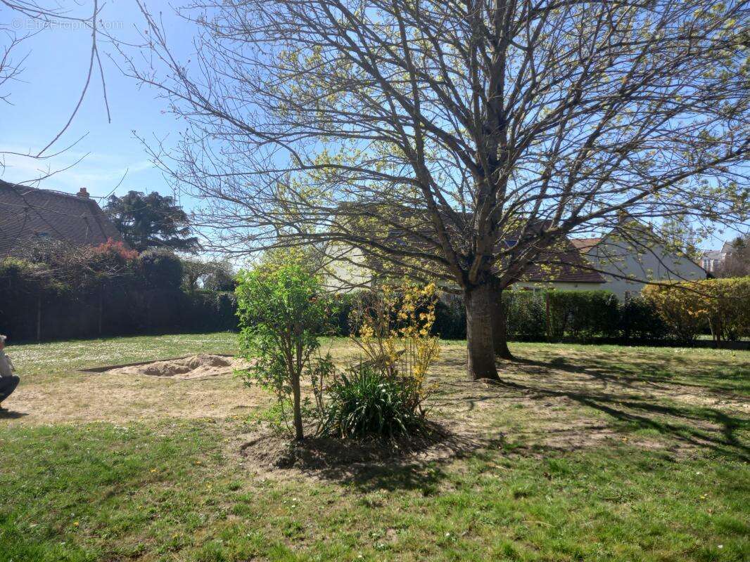 Appartement à SAINT-JEAN-LE-BLANC