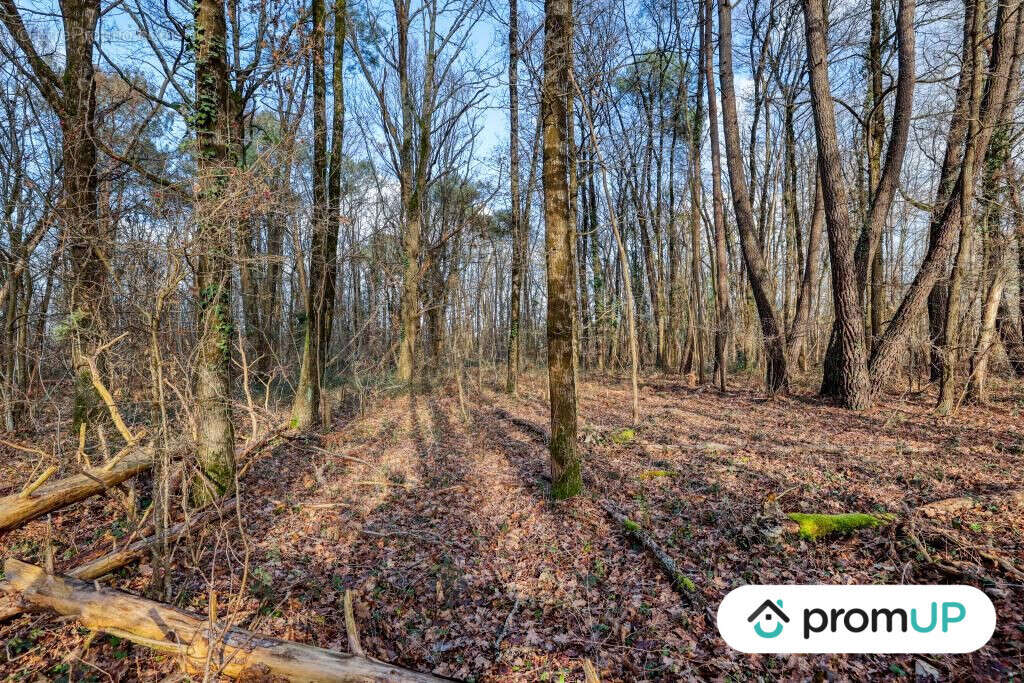 Terrain à CHATILLON-SUR-CHER
