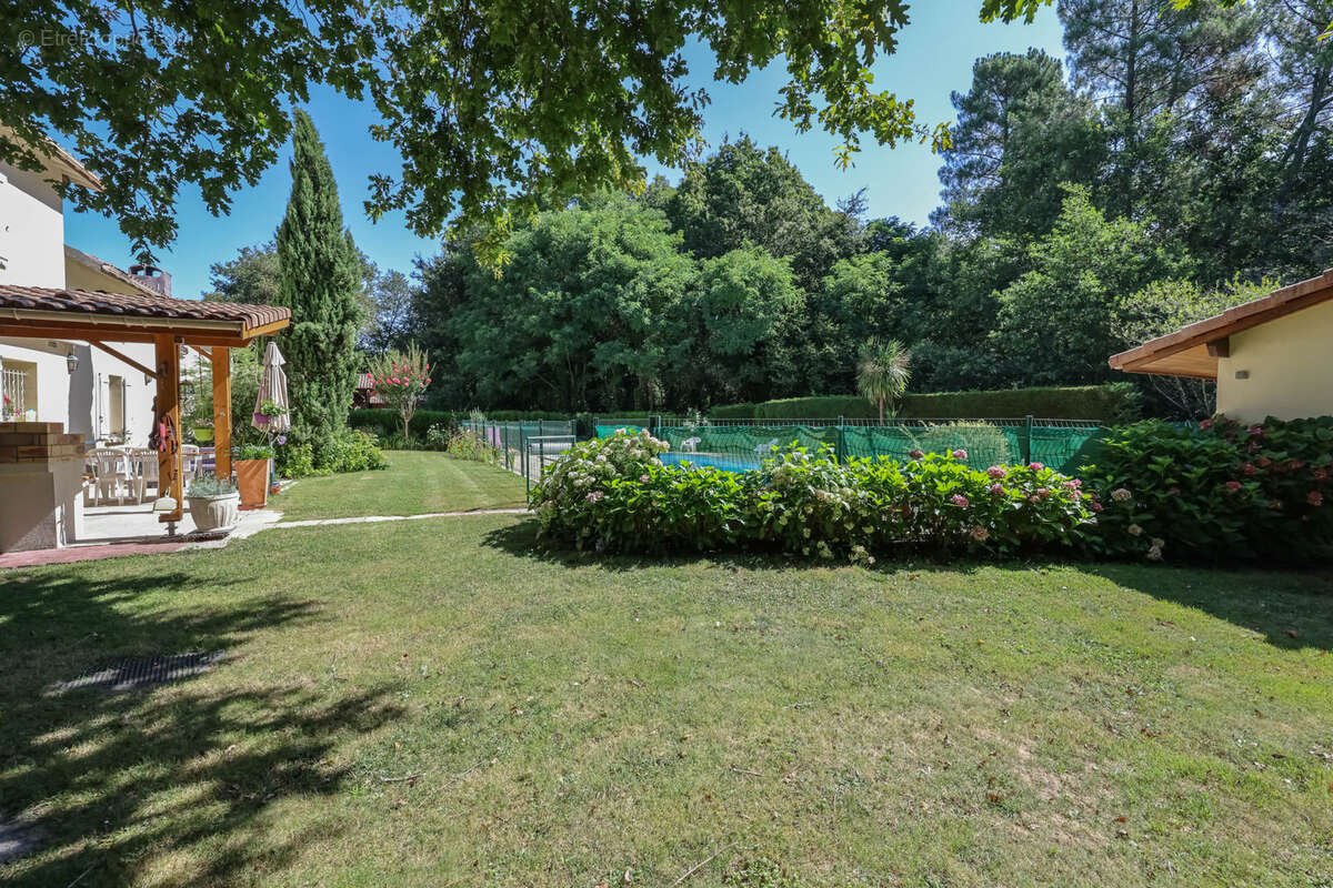 Maison à BELIN-BELIET