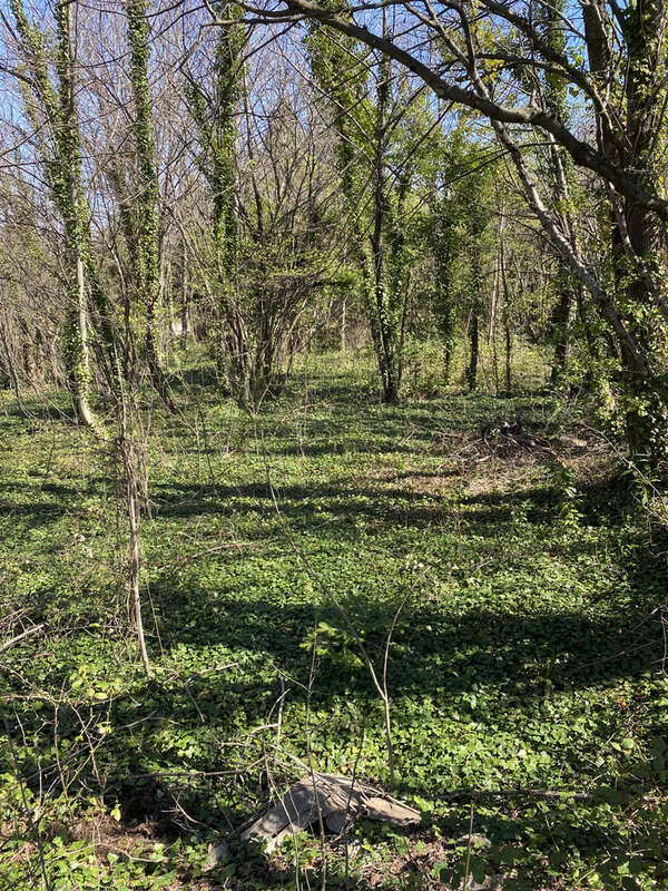 Terrain à BREAU-ET-SALAGOSSE