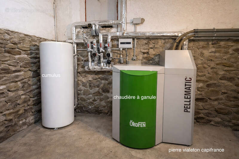  Maison de 310 m² avec gîte – 5 588 m² de terrain – Fraîcheur naturelle et revenus locatifs – Grandrif (63) - photo 27