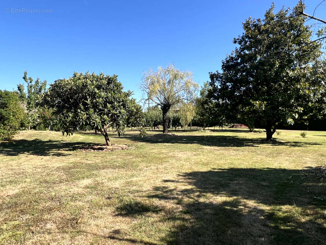 Maison à MEILHAN-SUR-GARONNE
