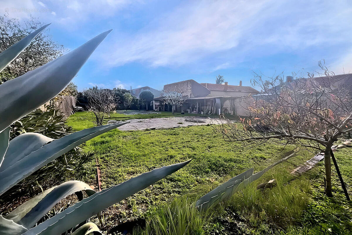 Terrain à LA ROCHELLE