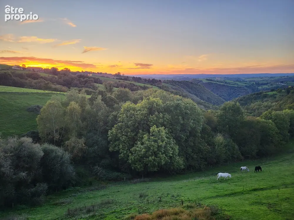 15 km conques- beau corps de ferme -140 m2-1,6 ha - photo 5