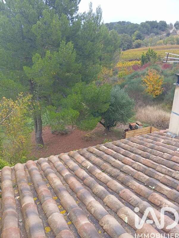 Photo 8 - Maison à LIMOUX