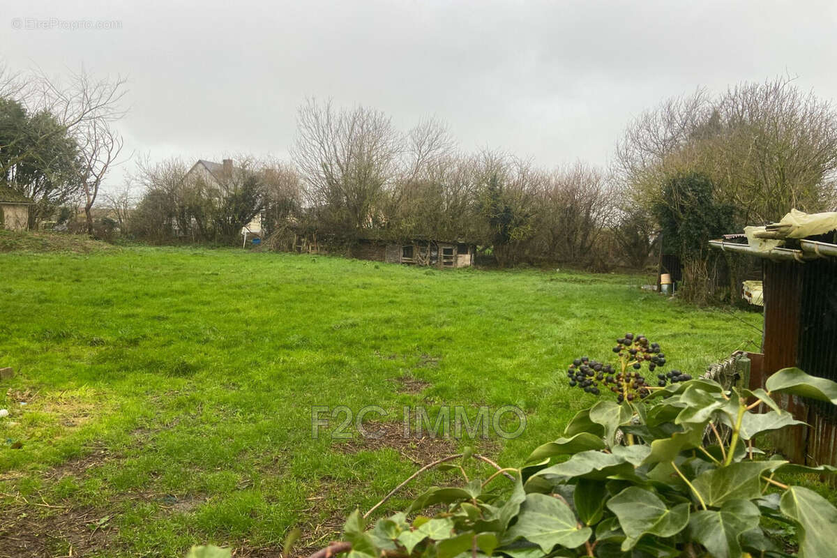 Terrain à ANGERVILLE-LA-MARTEL