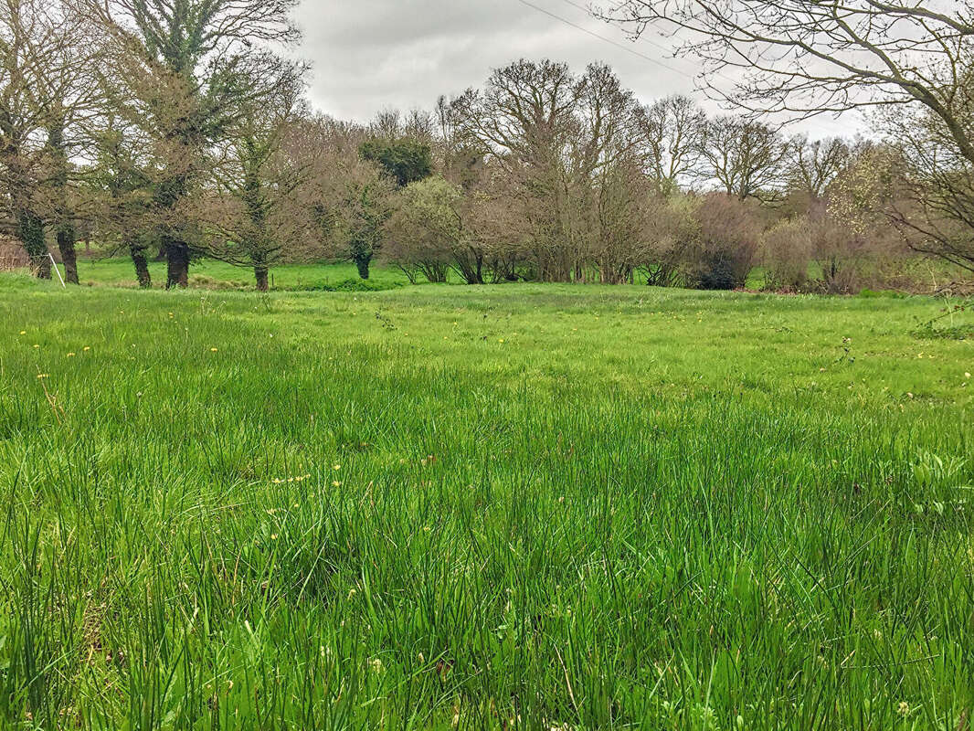 Terrain à LA MEAUGON