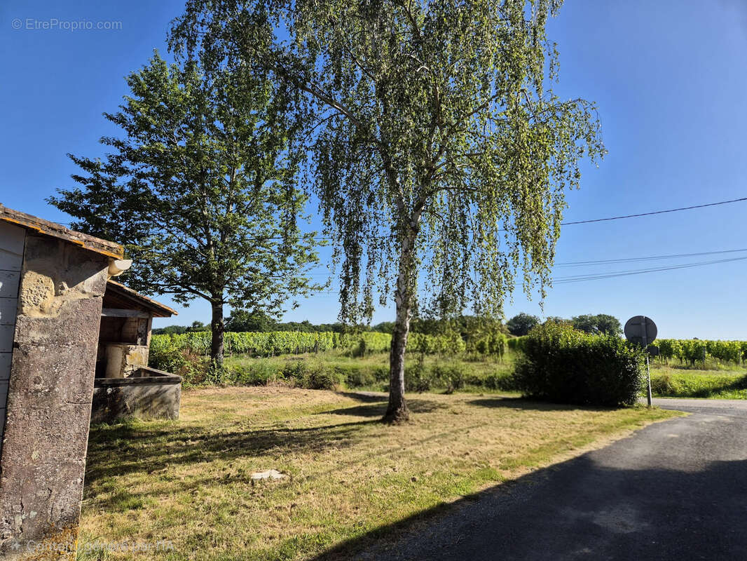 Maison en pierre rénovée de 109 m2, 3 chambres, grandes dépendances et jardin - photo 2