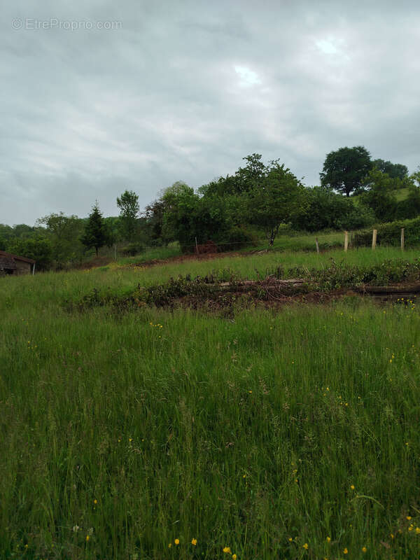 Maison à SAINT-AMOUR