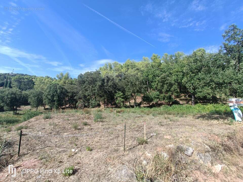Terrain 930 m² à Taradeau  - photo 5
