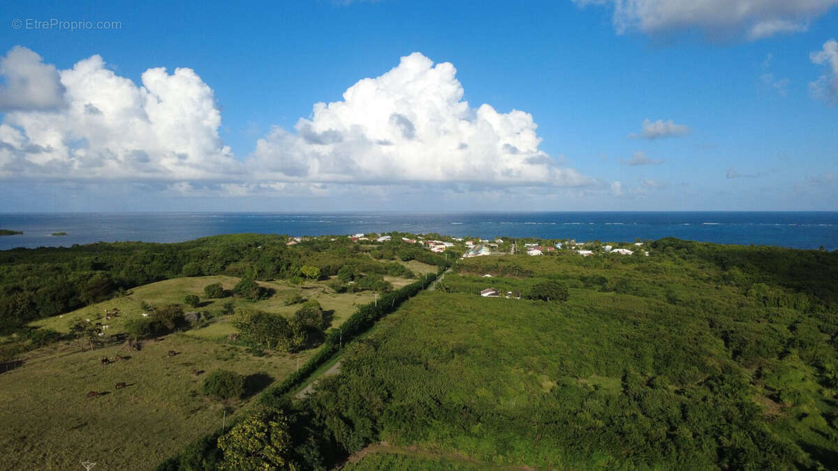 Terrain à LE VAUCLIN