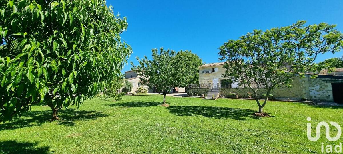 Photo 1 - Maison à SAINTE-TERRE