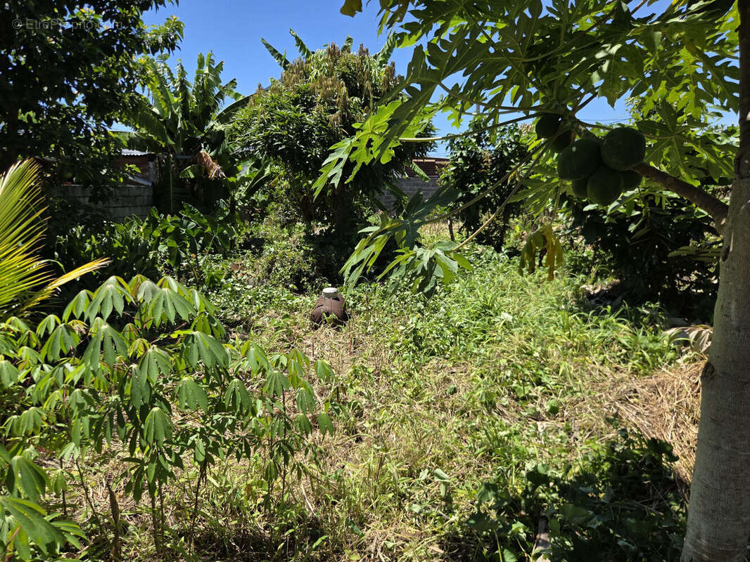 Photo 3 - Terrain à SAINT-ANDRE