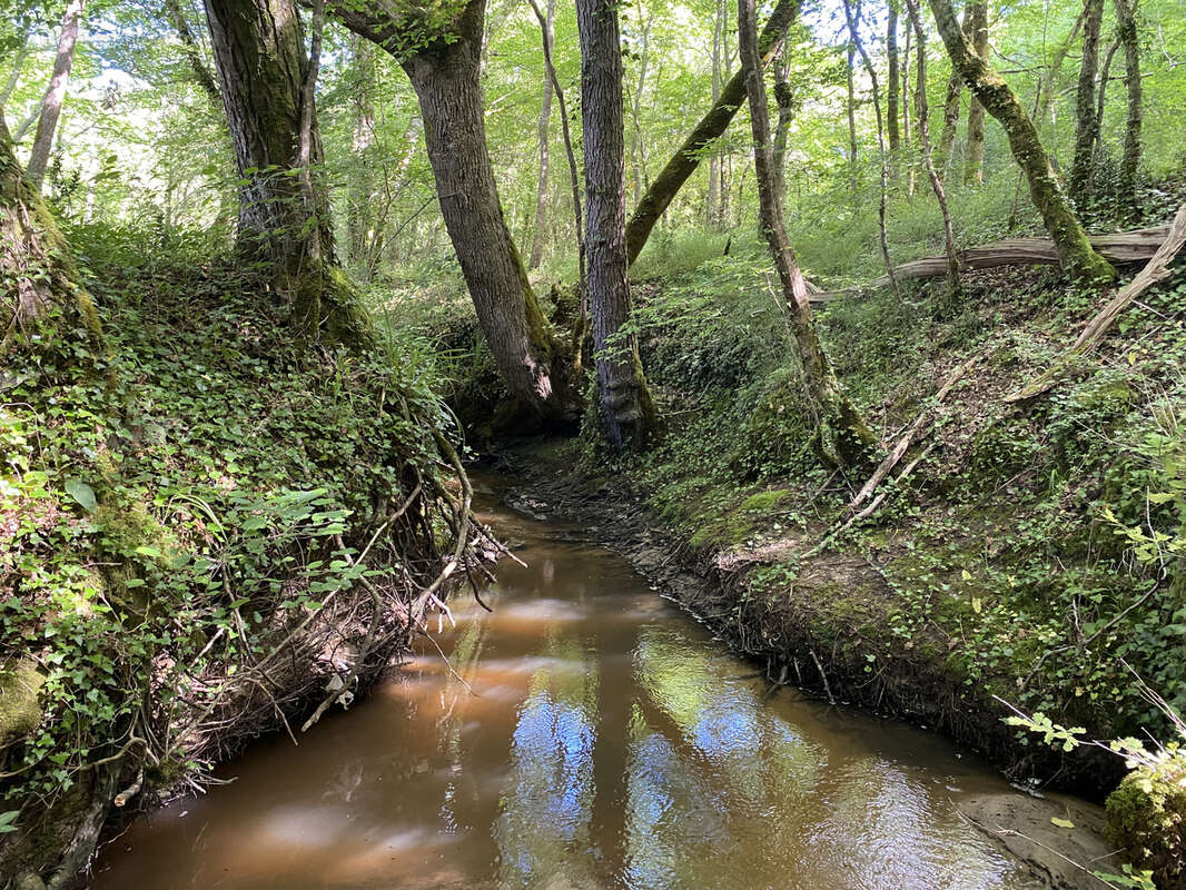 Propriété - photo 5