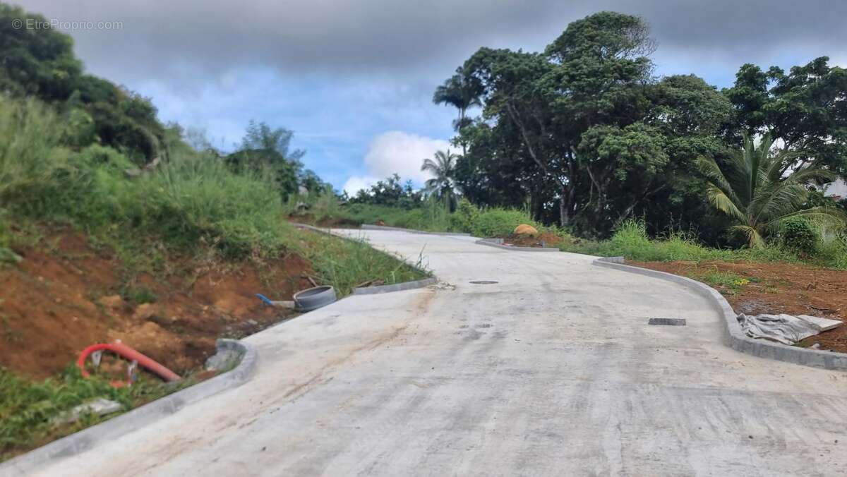 Terrain à FORT-DE-FRANCE