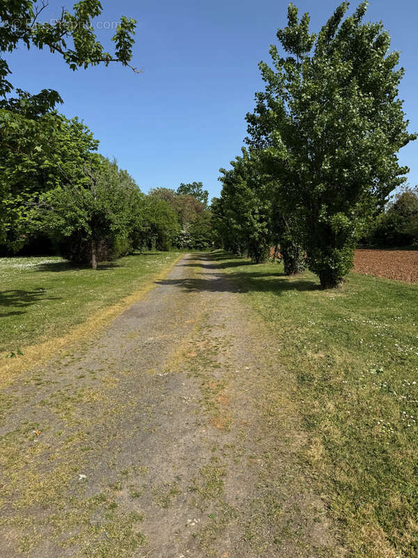 Terrain à SAINTE-HERMINE