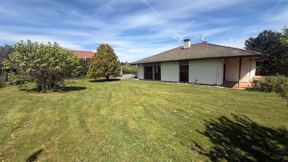 Terrain plat et arboré de 1 338 m² - Maison à REIGNIER
