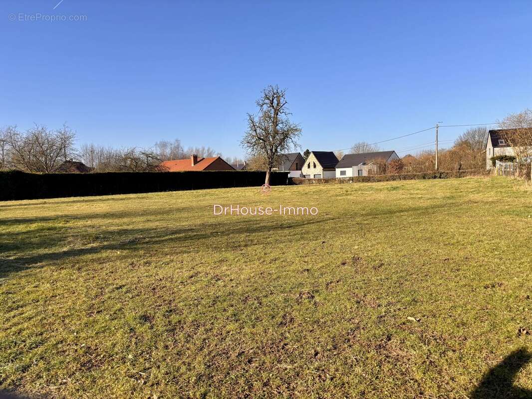 Terrain à LA LONGUEVILLE