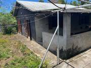 Maison à SAINT-LOUIS